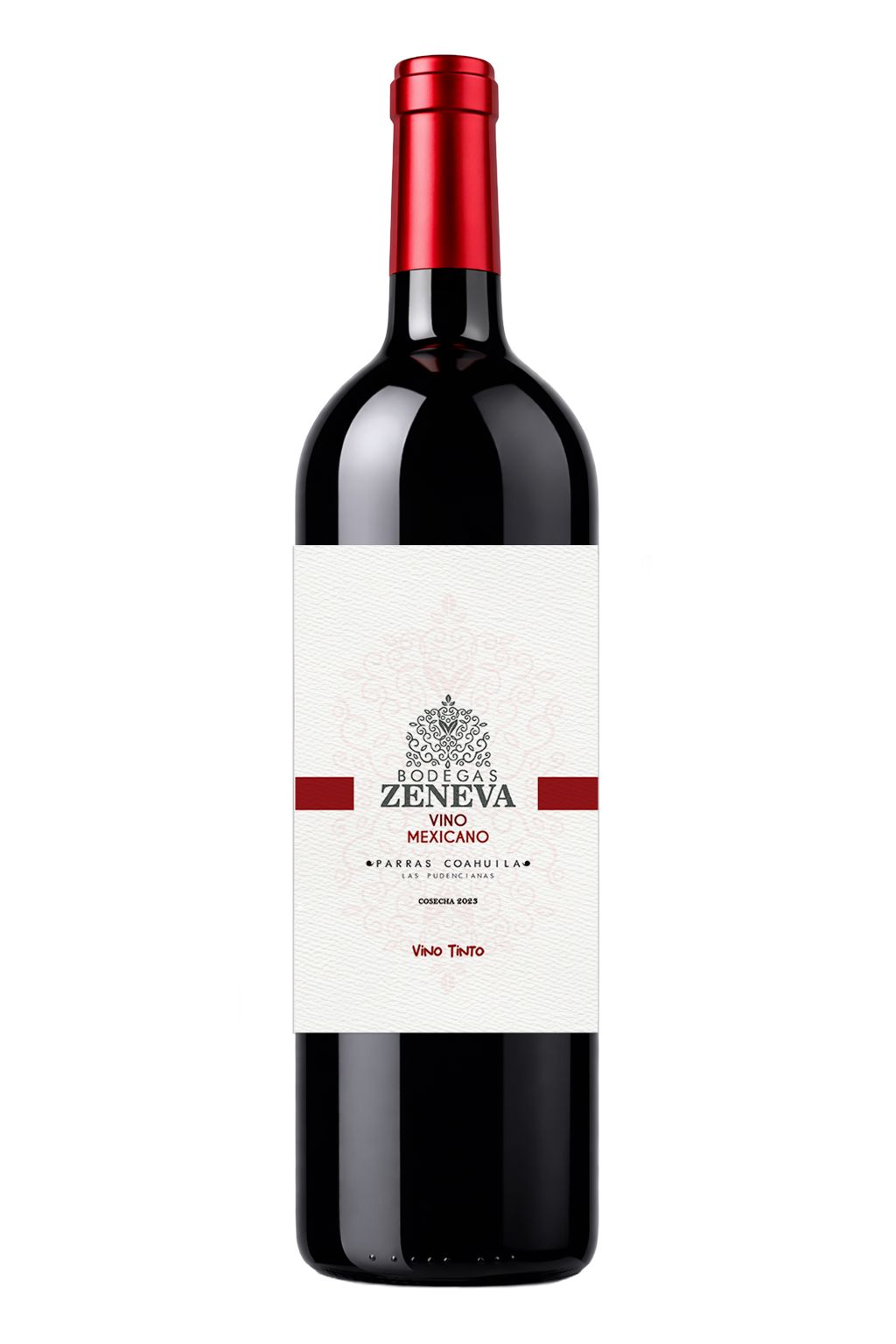 WhatsApp Image 2026-02-21 at 12.06.05 (1)