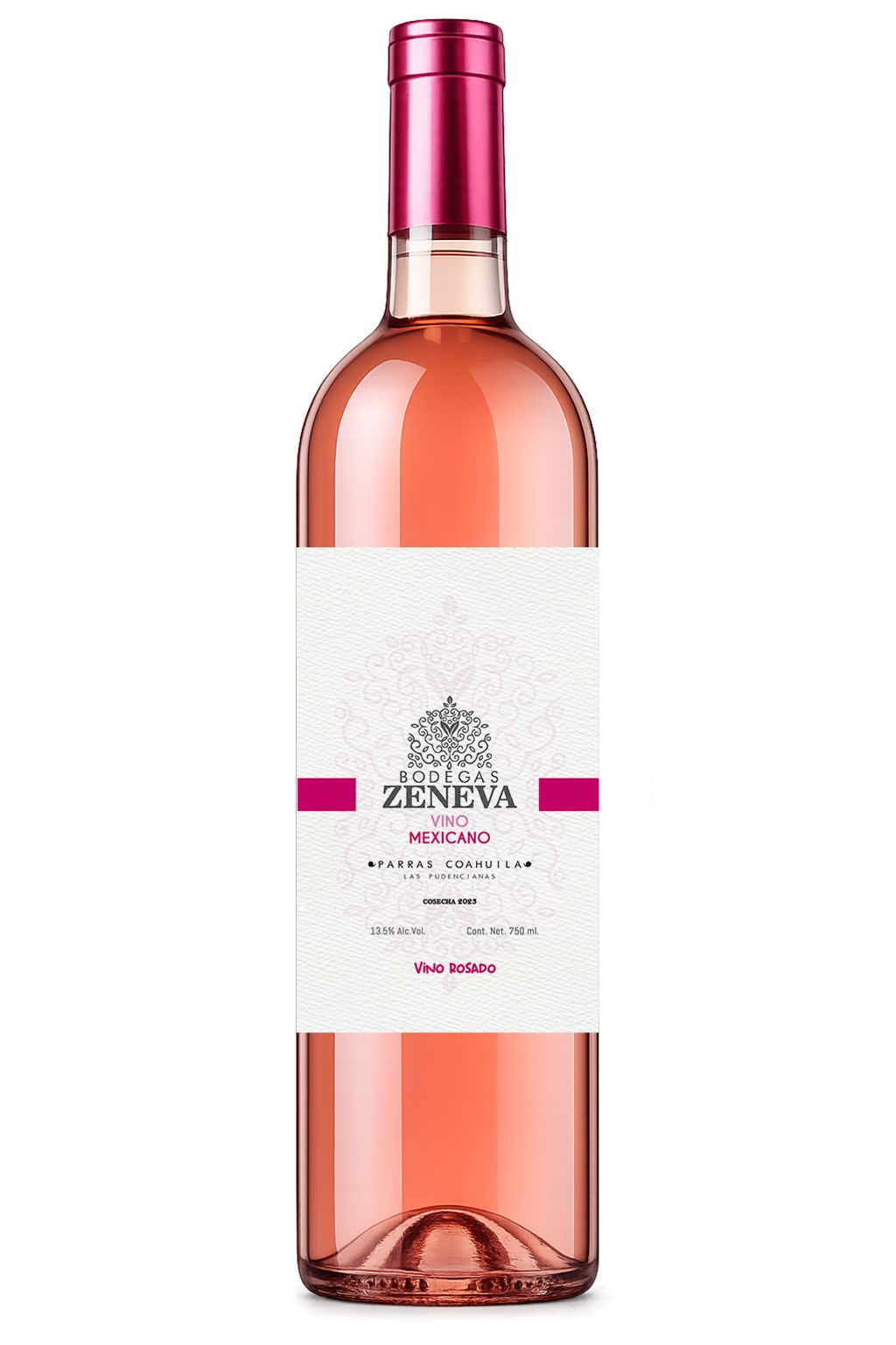 WhatsApp Image 2026-02-21 at 12.06.05 (3)