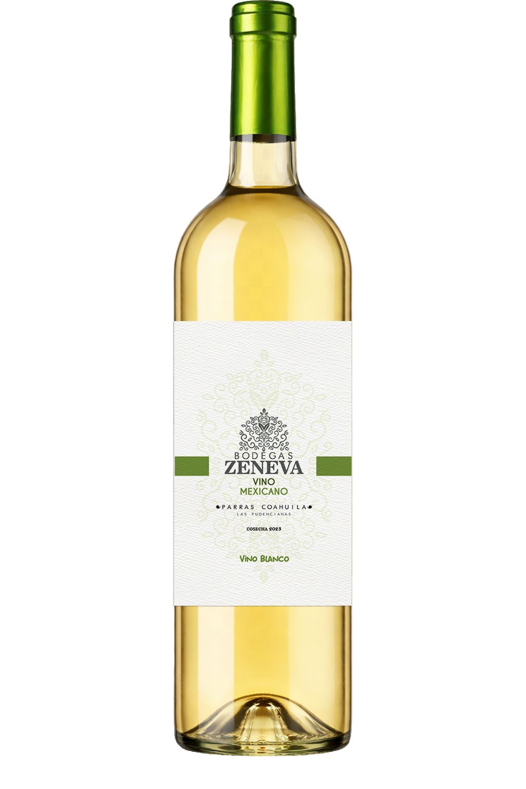 WhatsApp Image 2026-02-21 at 12.06.05