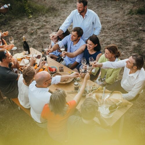 Vino con comida mexicana: Empezando por lo básico